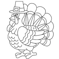 Pavo #7768