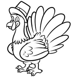 Pavo #7771