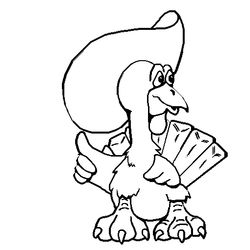 Pavo #7773