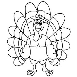 Pavo #7774