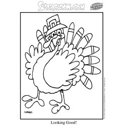 Pavo #7778