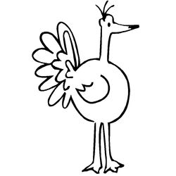 Pavo #7779