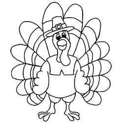 Pavo #7780