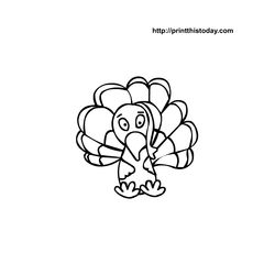 Pavo #7785