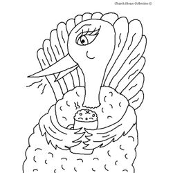 Pavo #7788