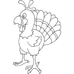 Pavo #7790