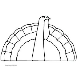 Pavo #7799