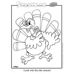 Pavo #7800