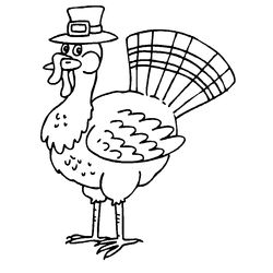 Pavo #7801