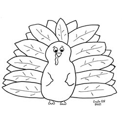 Pavo #7803