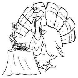 Pavo #7807