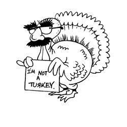 Pavo #7808