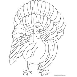Pavo #7809