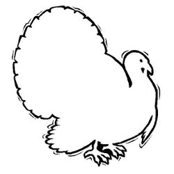 Pavo #7812