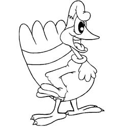 Pavo #7813