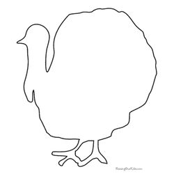 Pavo #7814
