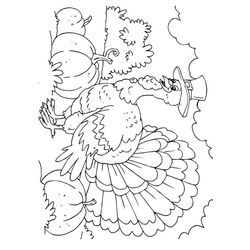 Pavo #7818
