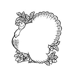 Pavo #7819