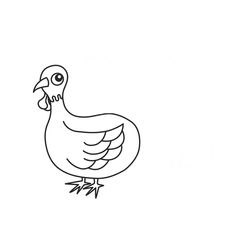 Pavo #7822