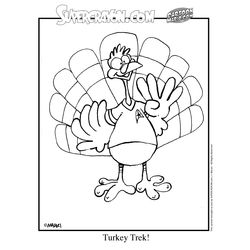 Pavo #7823