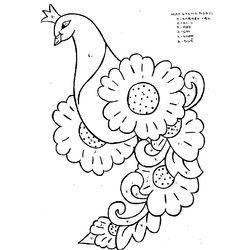 Pavo #7826