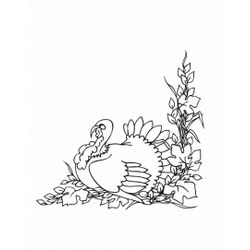 Pavo #7830