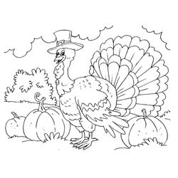 Pavo #7831
