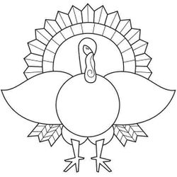 Pavo #7835
