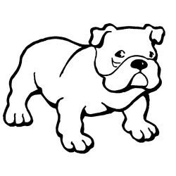 Perro #7839