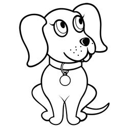 Perro #7843