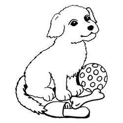 Perro #7845