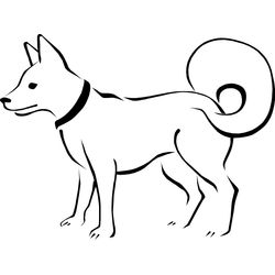 Perro #7865