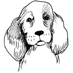 Perro #7866