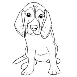 Perro #7871