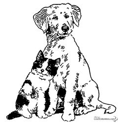 Perro #7876