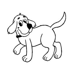 Perro #7877