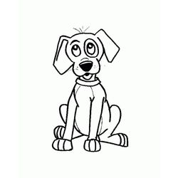 Perro #7882