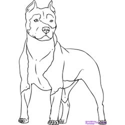 Perro #7883