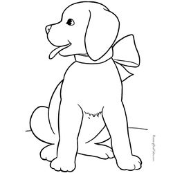 Perro #7886