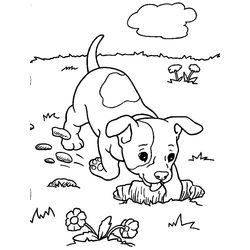 Perro #7891