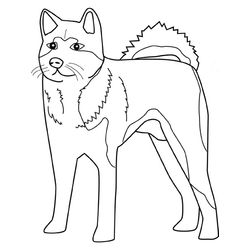 Perro #7896