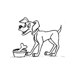 Perro #7900