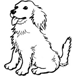 Perro #7901