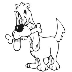 Perro #7903