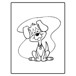 Perro #7907