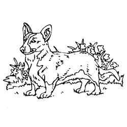 Perro #7910