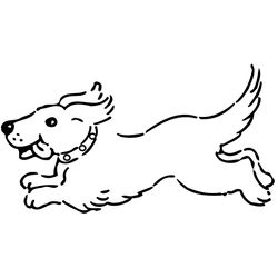 Perro #7911