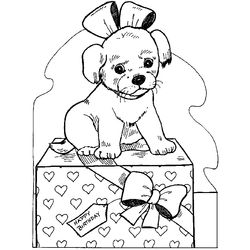 Perro #7915