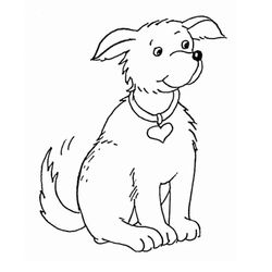 Perro #7919