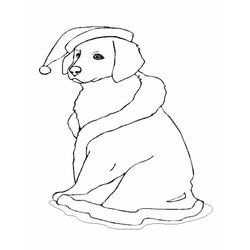 Perro #7926